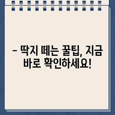 불법 주차 딱지, 이제 걱정하지 마세요! | 딱지 제거 방법 총정리, 주차 딱지 제거 꿀팁