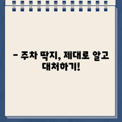 불법 주차 딱지, 이제 걱정하지 마세요! | 딱지 제거 방법 총정리, 주차 딱지 제거 꿀팁