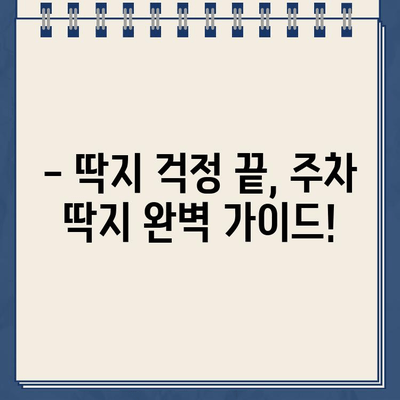 불법 주차 딱지, 이제 걱정하지 마세요! | 딱지 제거 방법 총정리, 주차 딱지 제거 꿀팁