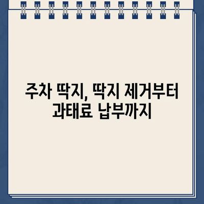 주차 딱지, 떼는 방법 총정리| 간편하게 해결하세요! | 주차 위반, 딱지 제거, 과태료, 벌금