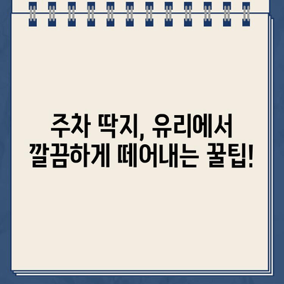 유리 스티커 주차 딱지 제거하기 쉽게| 깨끗하게 제거하는 3가지 방법 | 주차딱지 제거, 유리 스티커 제거, 팁