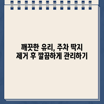 유리 스티커 주차 딱지 제거하기 쉽게| 깨끗하게 제거하는 3가지 방법 | 주차딱지 제거, 유리 스티커 제거, 팁