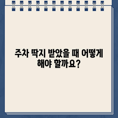 미국 운전 초보자를 위한 주차 위반 딱지 해결 가이드 | 딱지 처리, 벌금 납부, 이의 제기, 주차 위반 규칙