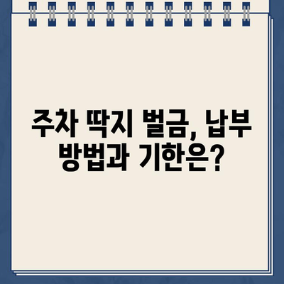 미국 운전 초보자를 위한 주차 위반 딱지 해결 가이드 | 딱지 처리, 벌금 납부, 이의 제기, 주차 위반 규칙