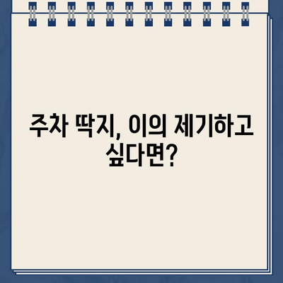 미국 운전 초보자를 위한 주차 위반 딱지 해결 가이드 | 딱지 처리, 벌금 납부, 이의 제기, 주차 위반 규칙