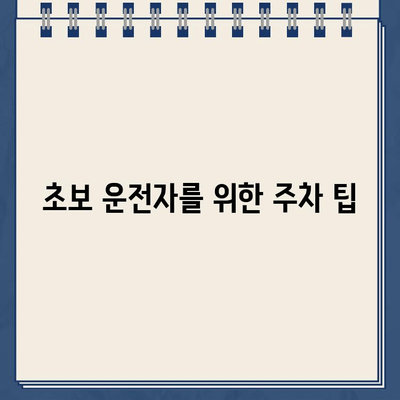 미국 운전 초보자를 위한 주차 위반 딱지 해결 가이드 | 딱지 처리, 벌금 납부, 이의 제기, 주차 위반 규칙