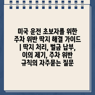 미국 운전 초보자를 위한 주차 위반 딱지 해결 가이드 | 딱지 처리, 벌금 납부, 이의 제기, 주차 위반 규칙