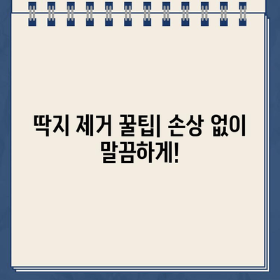 주차 딱지 & 자동차 유리 스티커 제거 완벽 가이드| 깔끔하게 제거하는 팁 & 주의사항 모음 | 주차딱지, 스티커, 제거, 팁, 주의사항