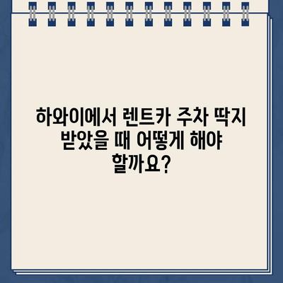 하와이 렌트카 주차 딱지 & 견인| 벌금 지불 완벽 가이드 | 주차 위반, 견인, 벌금, 팁, 하와이 렌트카