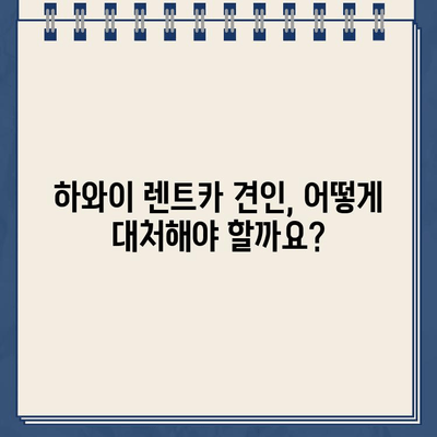 하와이 렌트카 주차 딱지 & 견인| 벌금 지불 완벽 가이드 | 주차 위반, 견인, 벌금, 팁, 하와이 렌트카