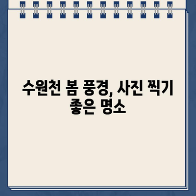 수원천 봄 산책, 딱지 주의보! 화홍문 근처 주차 꿀팁 | 수원천, 화홍문, 봄나들이, 주차 정보, 딱지