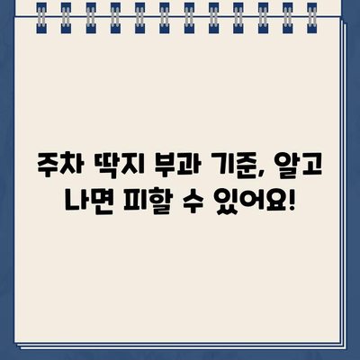 주차딱지 붙기 전, 꼭 확인해야 할 주의사항 7가지 | 주차 위반, 딱지, 과태료, 벌금, 주차 관리