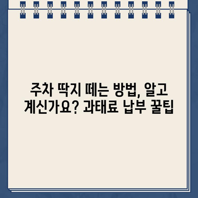 주차딱지 붙기 전, 꼭 확인해야 할 주의사항 7가지 | 주차 위반, 딱지, 과태료, 벌금, 주차 관리