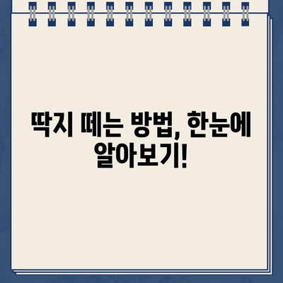 자동차 주차 딱지 제거 방법| 불법 주차 스티커 제거 가이드 | 주차 위반, 딱지 떼기, 과태료 해결