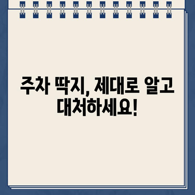 자동차 주차 딱지 제거 방법| 불법 주차 스티커 제거 가이드 | 주차 위반, 딱지 떼기, 과태료 해결