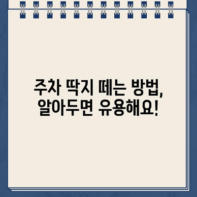 주차 딱지 위험, 이젠 걱정 끝! | 주차 딱지 피하는 꿀팁, 주차 딱지 떼는 방법, 경찰 단속 대비