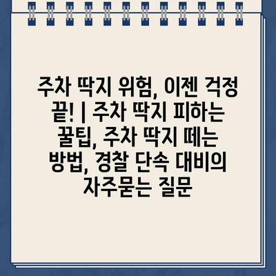 주차 딱지 위험, 이젠 걱정 끝! | 주차 딱지 피하는 꿀팁, 주차 딱지 떼는 방법, 경찰 단속 대비