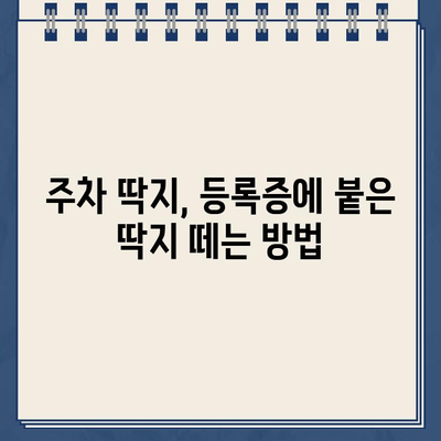 주차 딱지 납부 통지, 등록에서 받은 경험 공유 | 주차 위반, 과태료, 납부 방법, 꿀팁