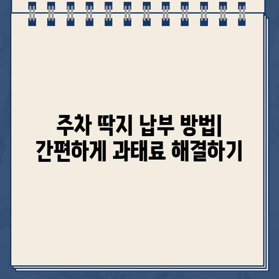 주차 딱지 납부 통지, 등록에서 받은 경험 공유 | 주차 위반, 과태료, 납부 방법, 꿀팁