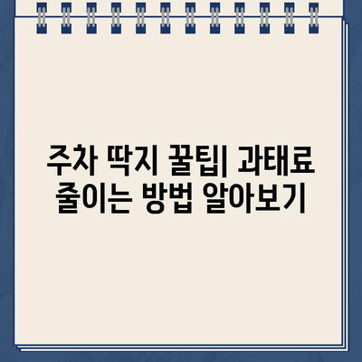 주차 딱지 납부 통지, 등록에서 받은 경험 공유 | 주차 위반, 과태료, 납부 방법, 꿀팁