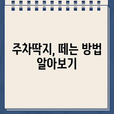 주차딱지, 간단하고 깨끗하게 제거하는 방법 | 주차 위반, 딱지 제거, 벌금 납부, 주차 딱지 해결