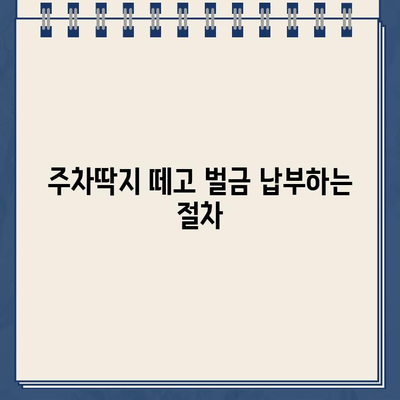 주차딱지, 간단하고 깨끗하게 제거하는 방법 | 주차 위반, 딱지 제거, 벌금 납부, 주차 딱지 해결