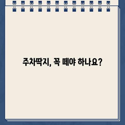 주차딱지, 간단하고 깨끗하게 제거하는 방법 | 주차 위반, 딱지 제거, 벌금 납부, 주차 딱지 해결