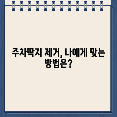 주차딱지, 간단하고 깨끗하게 제거하는 방법 | 주차 위반, 딱지 제거, 벌금 납부, 주차 딱지 해결