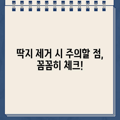 주차 딱지, 이젠 걱정 마세요! | 주차 딱지 제거 완벽 가이드| 절차, 비용, 주의사항