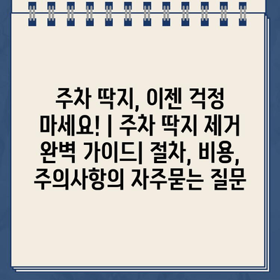 주차 딱지, 이젠 걱정 마세요! | 주차 딱지 제거 완벽 가이드| 절차, 비용, 주의사항