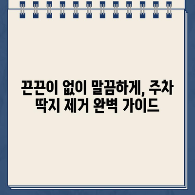 끈끈한 주차 딱지 제거| 케이블 스트리퍼 활용 가이드 | 주차딱지, 제거팁, 손쉽게 떼는 방법