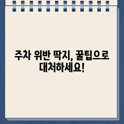 주차 딱지 벌금, 제대로 알고 대처하세요! | 주차 위반, 벌금 납부, 이의 신청, 꿀팁