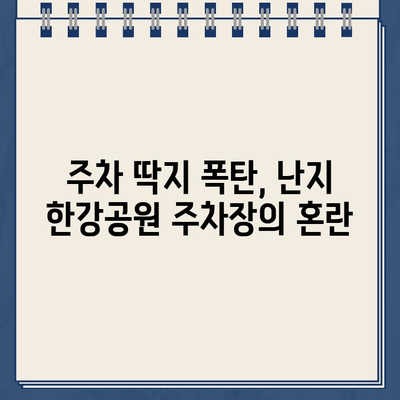 난지 한강공원 주차장, 이중 청구와 주차 딱지의 불편함| 사용자 경험 공유 및 해결 방안 | 난지 한강공원, 주차 문제, 불합리, 이중 청구, 주차 딱지, 이용 후기