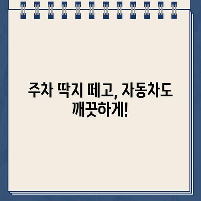 주차 딱지, 떼고 깨끗하게! 자동차 세차 꿀팁 | 주차 위반, 세차, 자동차 관리, 팁