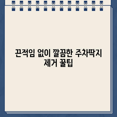 다이소 불스원으로 끈끈한 주차 딱지 제거하는 꿀팁 | 주차딱지, 제거, 팁, 다이소, 불스원