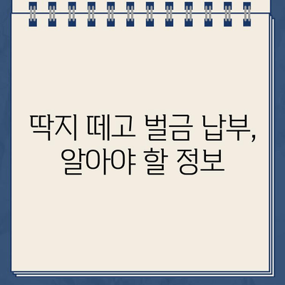 불법 주차 스티커 제거, 이렇게 하면 됩니다! | 자동차 주차 딱지 제거 방법, 딱지 제거 안내, 주차 위반 딱지 떼는 법