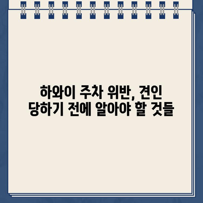 하와이 주차 위반 견인 경고 & 한국에서 벌금 지불하는 방법| 완벽 가이드 | 주차 위반, 벌금, 견인, 한국, 하와이, 여행 팁