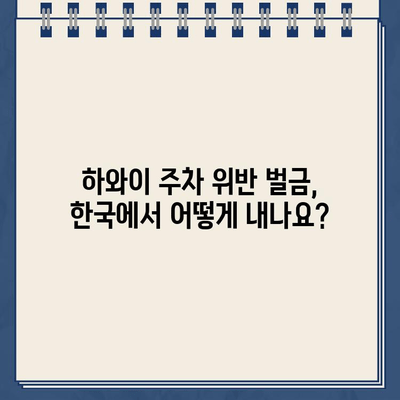 하와이 주차 위반 견인 경고 & 한국에서 벌금 지불하는 방법| 완벽 가이드 | 주차 위반, 벌금, 견인, 한국, 하와이, 여행 팁