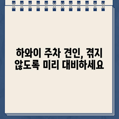 하와이 주차 위반 견인 경고 & 한국에서 벌금 지불하는 방법| 완벽 가이드 | 주차 위반, 벌금, 견인, 한국, 하와이, 여행 팁