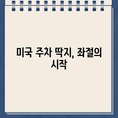 미국 첫 운전, 주차 딱지의 악몽! | 주차 위반 경험담, 꿀팁, 주의사항