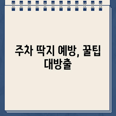 미국 첫 운전, 주차 딱지의 악몽! | 주차 위반 경험담, 꿀팁, 주의사항