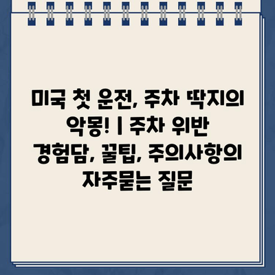 미국 첫 운전, 주차 딱지의 악몽! | 주차 위반 경험담, 꿀팁, 주의사항