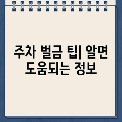 주차 벌금, 이제 걱정하지 마세요! | 주차 벌금 팁, 주차 벌금 계산, 주차 벌금 해결