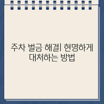 주차 벌금, 이제 걱정하지 마세요! | 주차 벌금 팁, 주차 벌금 계산, 주차 벌금 해결