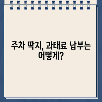 주차 딱지, 이젠 걱정 뚝! 원포인트 제거 가이드 | 주차딱지, 과태료, 제거 방법, 딱지 해결