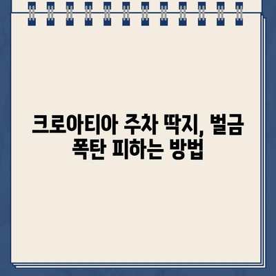 크로아티아 주차 딱지, 벌금 폭탄 피하는 꿀팁 | 주차 요금, 위반 경험, 팁, 주의사항