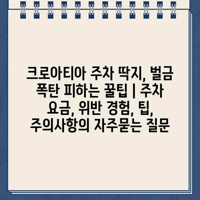 크로아티아 주차 딱지, 벌금 폭탄 피하는 꿀팁 | 주차 요금, 위반 경험, 팁, 주의사항