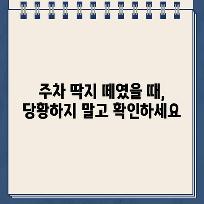 미국 운전 초보자, 주차 위반딱지 떼인 쓴맛| 벌금 폭탄 피하는 꿀팁 | 주차 위반, 벌금, 미국 운전, 초보 운전