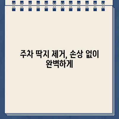 주차 딱지 제거 & 차량 유리 청소 완벽 가이드| 딱지 제거부터 깨끗한 유리까지! | 주차 딱지, 차량 유리 청소, 팁, 방법