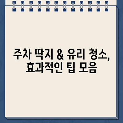 주차 딱지 제거 & 차량 유리 청소 완벽 가이드| 딱지 제거부터 깨끗한 유리까지! | 주차 딱지, 차량 유리 청소, 팁, 방법